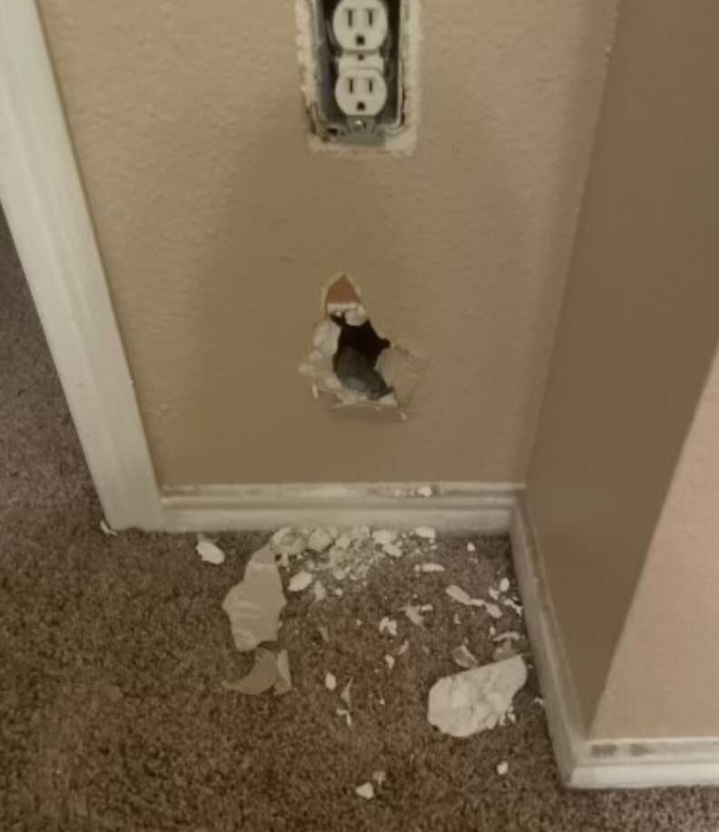 hole in wall