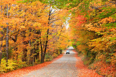 White Mountain National Forest