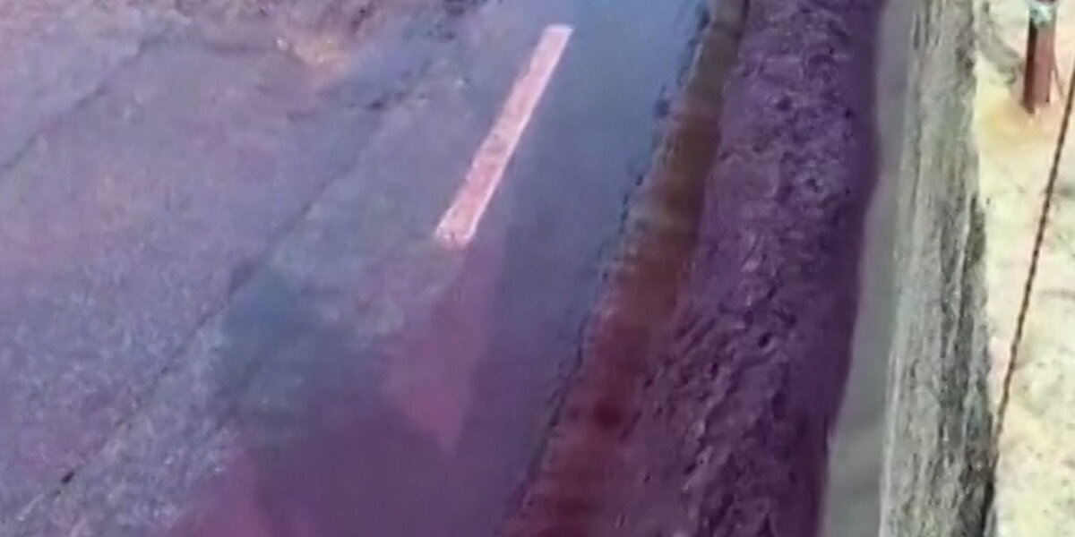 WATCH: River of Red Wine Flows Through Portuguese Streets After a Winery Tank Bursts - Vimarsana News
