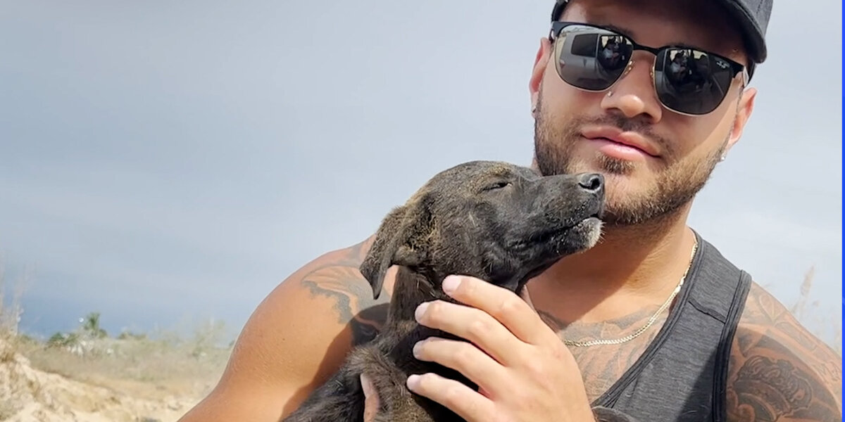 Couple Saves This Puppy From A Garbage Bag - Videos - The Dodo