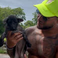 Couple On Vacation In Bali Finds A Stray Puppy