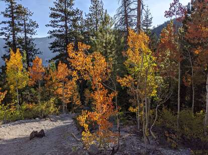 Mount Charleston Wilderness