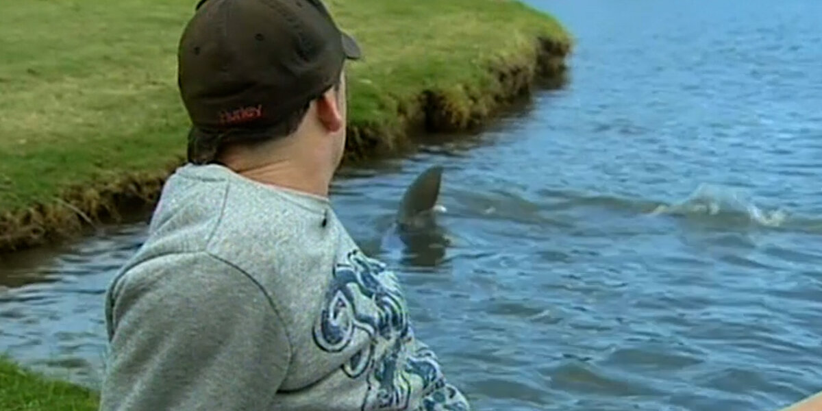 Watch: Bull Sharks Invaded This Australian Golf Course NowThis Watch: Bull Sharks Invaded This Australian Golf Course NowThis