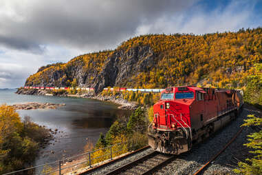 freight train passing through fall foliage