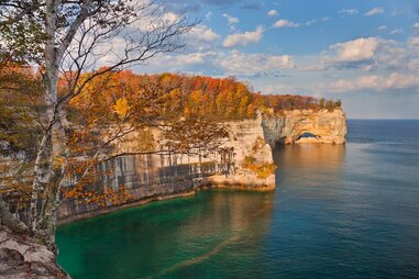 fall foliage over rocky cliff