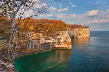 fall foliage over rocky cliff