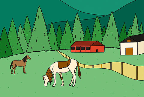 The Ultimate Guide to Montana Adventure 