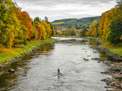SUP in a river in fall
