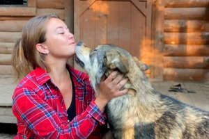 Woman Rescues The Friendliest Wolf Dog