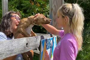 This Sleepaway Camp Has Rescue Puppies Every Summer