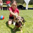 Kids Fall In Love With Rescue Puppies At Summer Camp