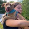 Summer Campers Find Out They're Going Home With Rescue Puppies