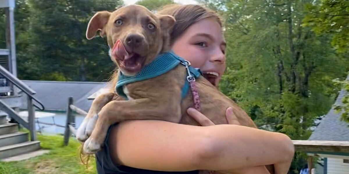 Summer Campers Find Out They're Going Home With Rescue Puppies - Videos ...
