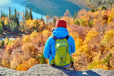 man looking at yellow leaves