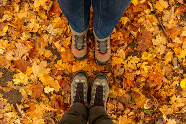 hiking boots on colorful leaves