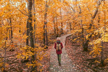 woman walking on trail in the autumn woods