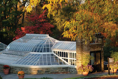 The Fernery at Morris Arboretum & Gardens