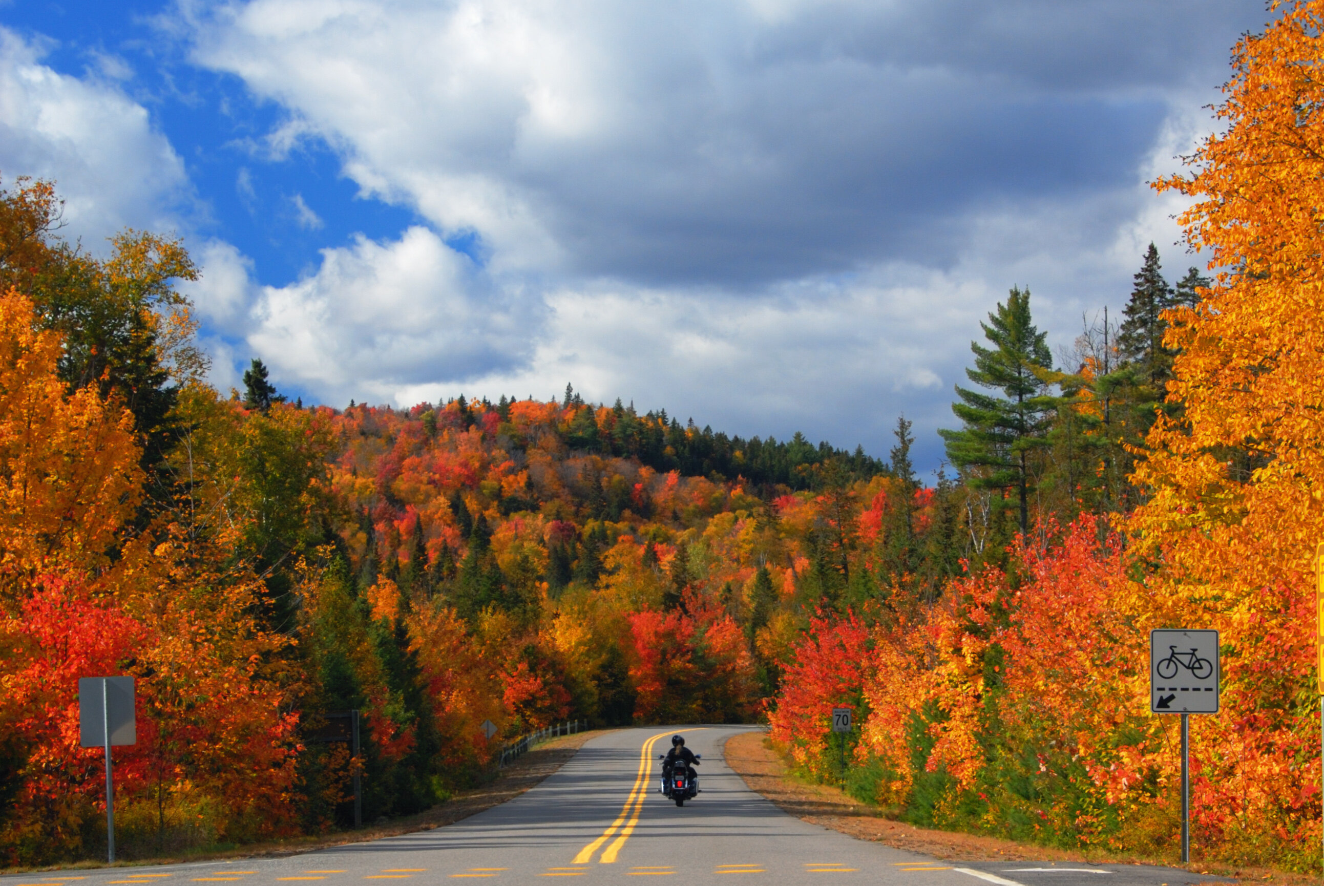 We Finally Did It: We Found the Most Fall Road Trip Ever