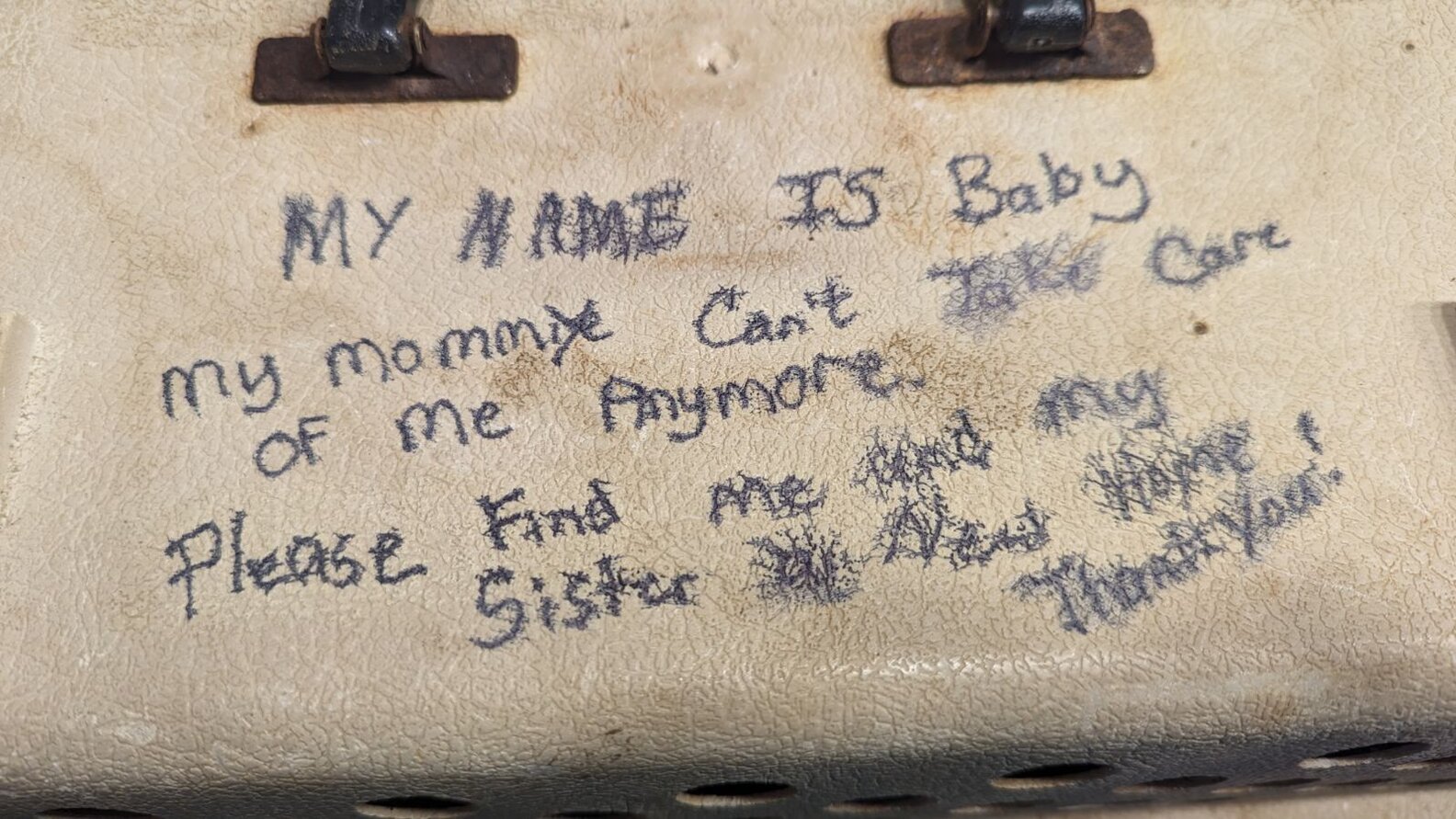Shelter Employees Arrive To Find Cats Left With Heartbreaking Note ...