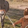 Kid And His Donkey Are Truly BFFs