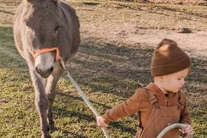 Kid And His Donkey Are Truly BFFs