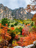 Throw On the Performance Fleece and Go See the Best Fall Foliage in Texas