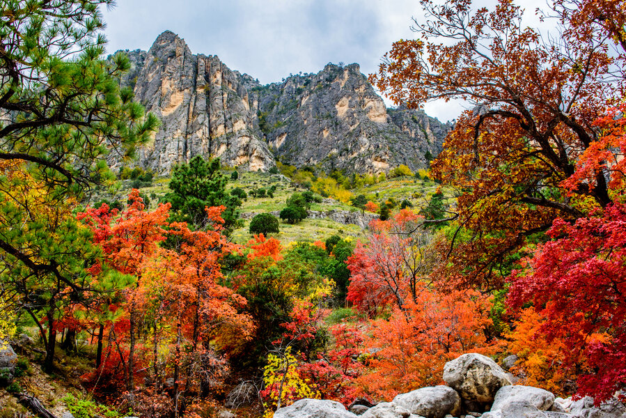 Fall Scene Texas Best Places to See Fall Foliage in Texas: Scenic Places to Visit This ...
