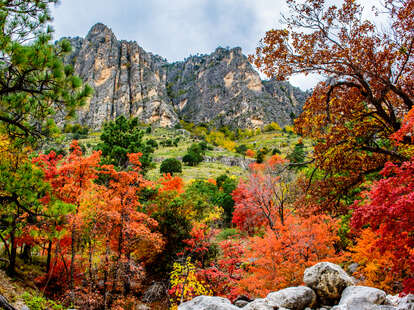 What are the effects of an early spring on nature in West Texas