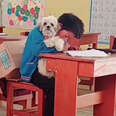 Schoolboy Nervously Approaches His Teacher With An Unusual Request