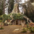 A real life version of Shrek's Swamp Cottage, situated in a forest in the Scottish Highlands. 