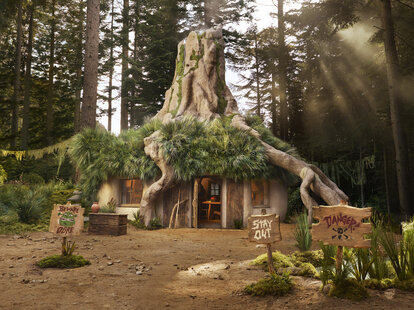 A real life version of Shrek’s Swamp Cottage, situated in a forest in the Scottish Highlands.