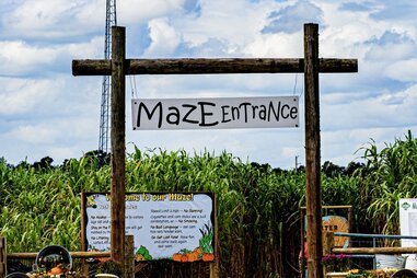 maze entrance