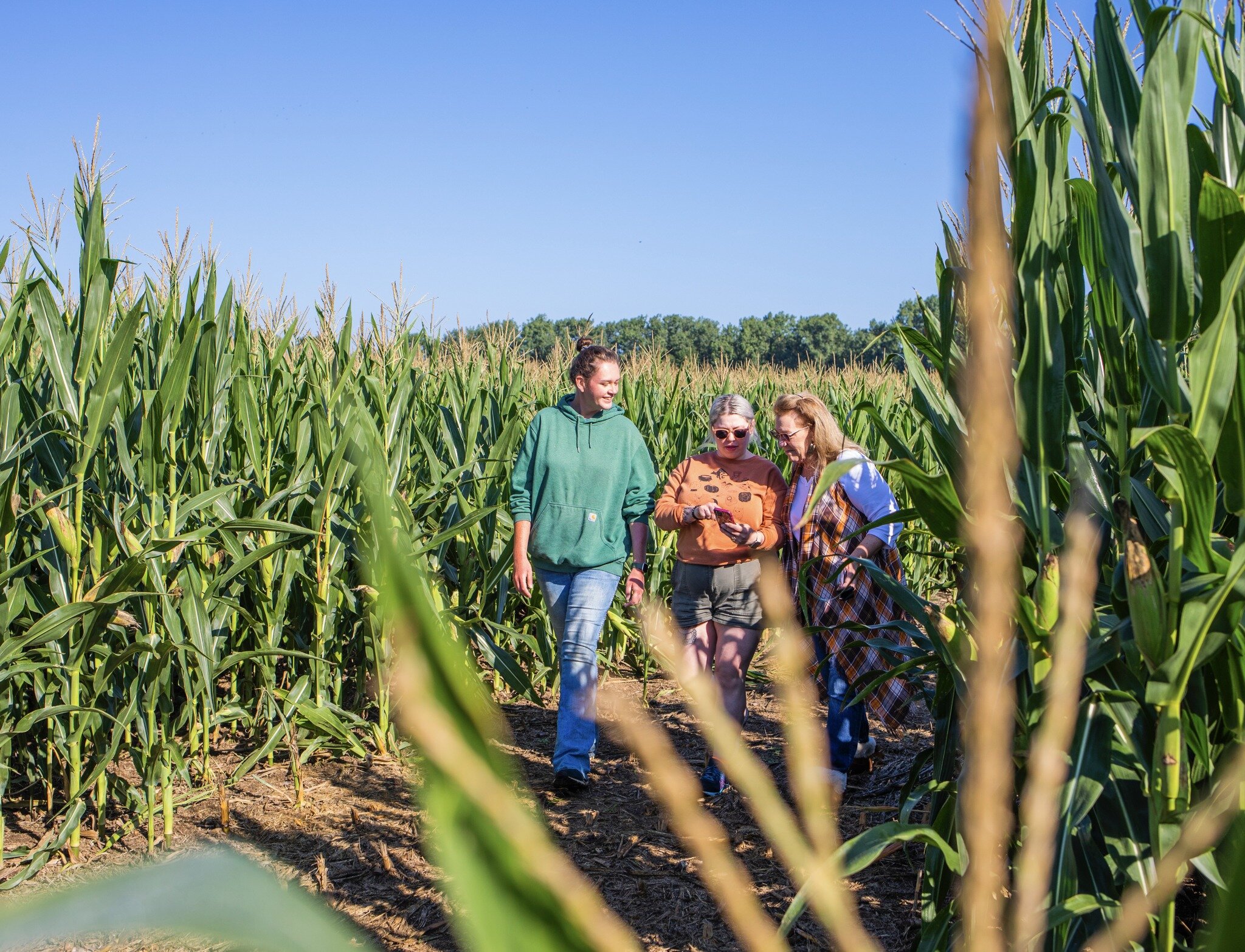 Good Luck Finding Your Way Out of These Elaborate Corn Mazes