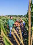 friends walking through a corn maze
