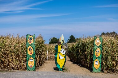entrance to corn maze