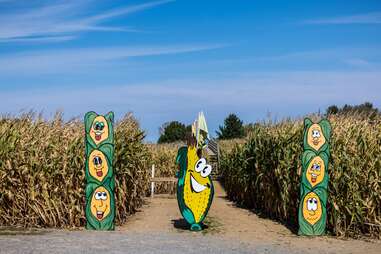 entrance to corn maze