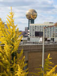 View of the Sunsphere in downtown Knoxville, Tennessee