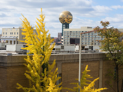 View of the Sunsphere in downtown Knoxville, Tennessee