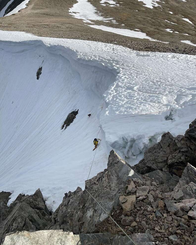 Injured dog spotted on mountain