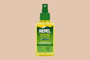Tree Repel Essential Gear for Fall Foliage Hikes and Leaf Peeping Photography Tips ...