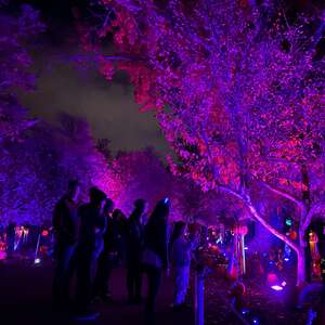 Hit Up a Jack O'Lantern Festival and the Brand-New Museum of Illusions in Denver This Weekend