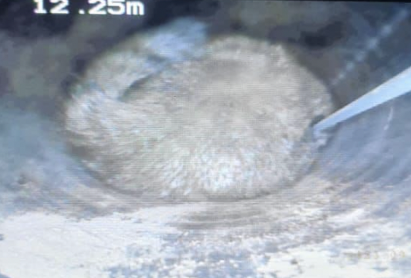 Rescuers Lower Camera Into Pipe And Spot A Furry Baby Stuck Inside ...
