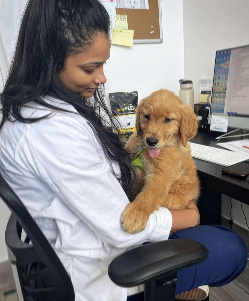 A vet snuggles with a puppy