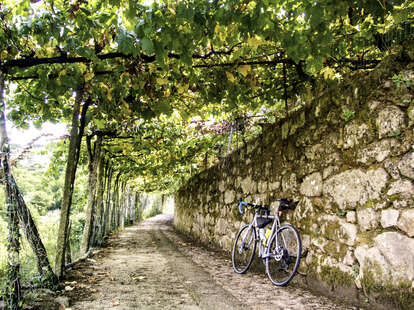 bike parked under a shade of vines on an old road in portugal