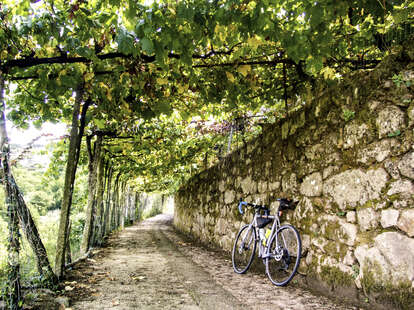 bike parked under a shade of vines on an old road in portugal