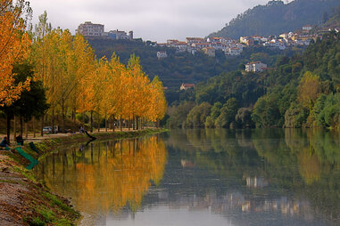 fall foliage lining portuguese river