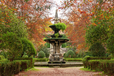 botanical garden in autumn