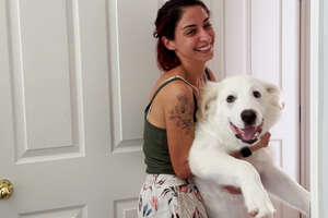 Woman's Rescue Dog Doesn't Know How Big He is