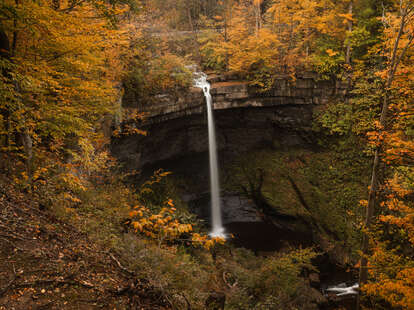 Fall foliage at Carpenter Falls in Cayuga County