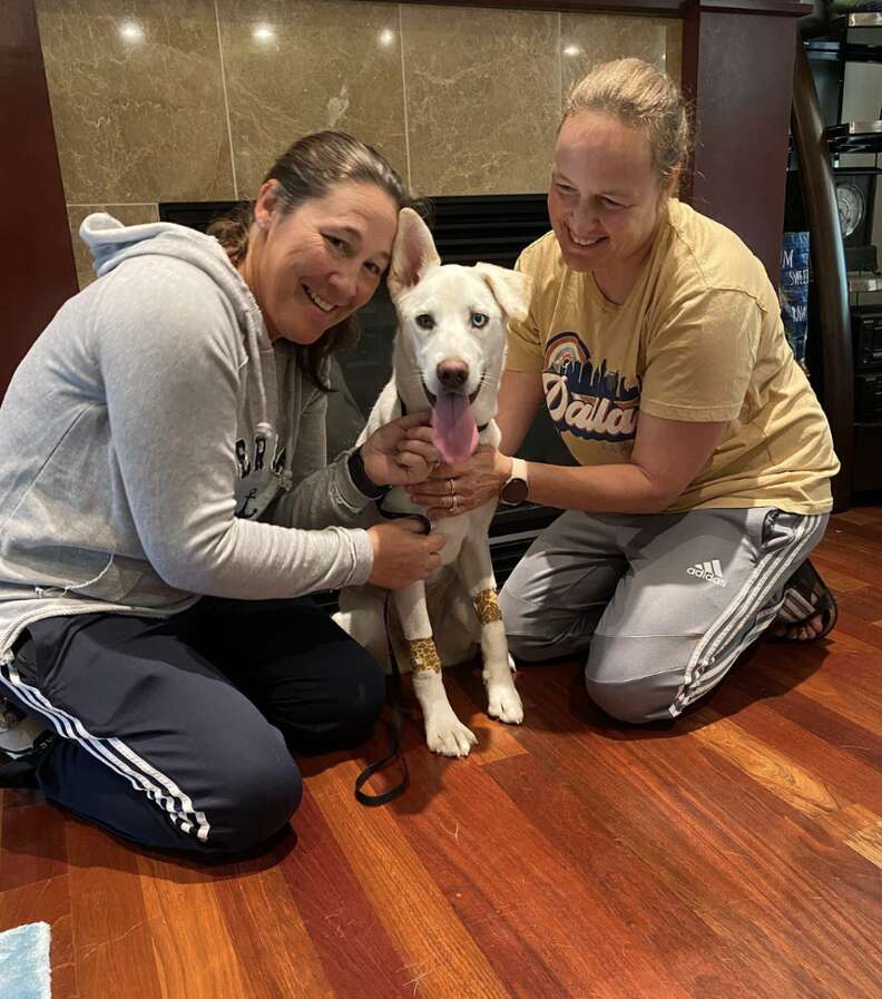 women and dog